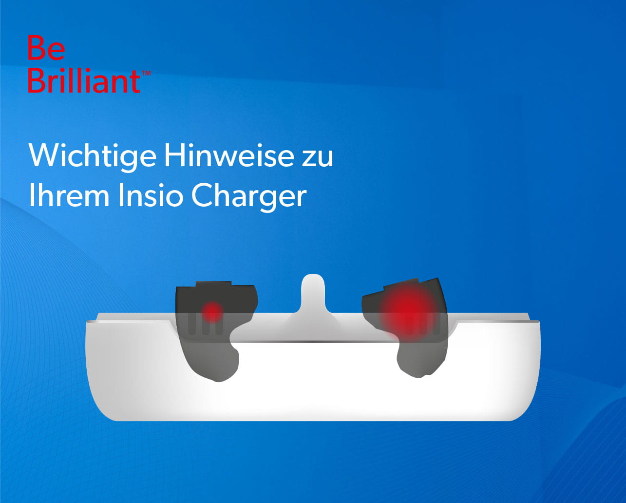 Wichtige Hinweise zu Ihrem Insio Charger