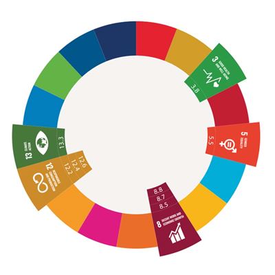 Les objectifs de developpement durable des Nations Unies que remplissent Signia et WSA
