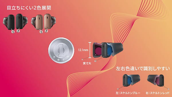 Silk C&G IX イヤフォン 充電ケース付き 補聴器 最小クラスの充電耳あな型 シグニア Silk Charge＆Go